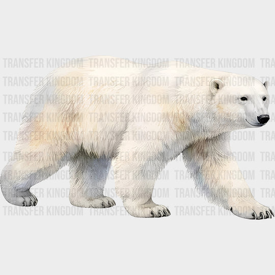 Polar Bear - Animals DTF Transfers