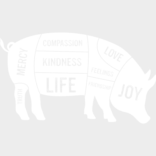 Pork Cuts - Vegan DTF Transfers - Adult Unisex - S & M (10’’) / Light Color Design (See Imaging)