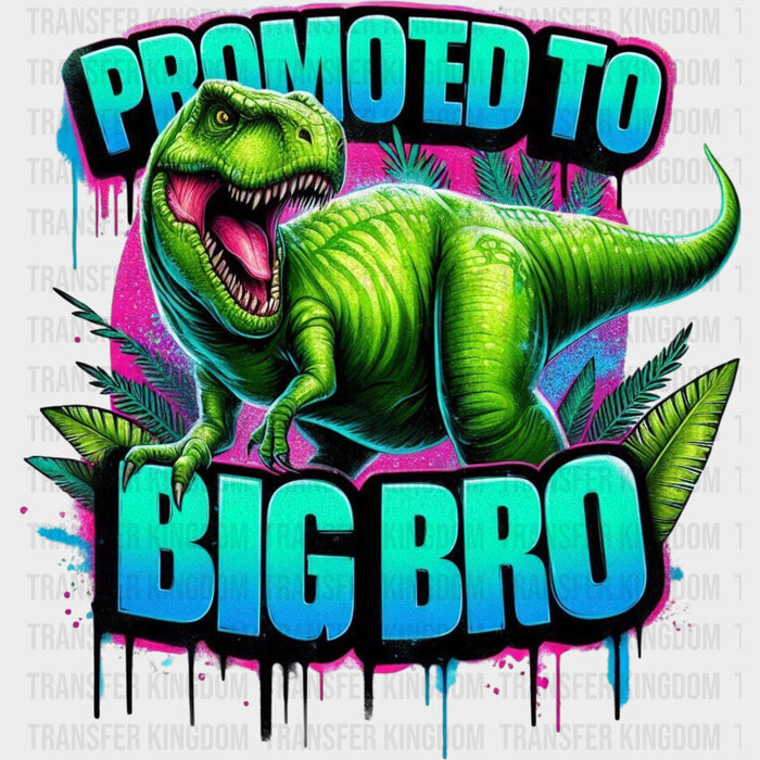 Promoted To Big Bro - Brother DTF Transfers