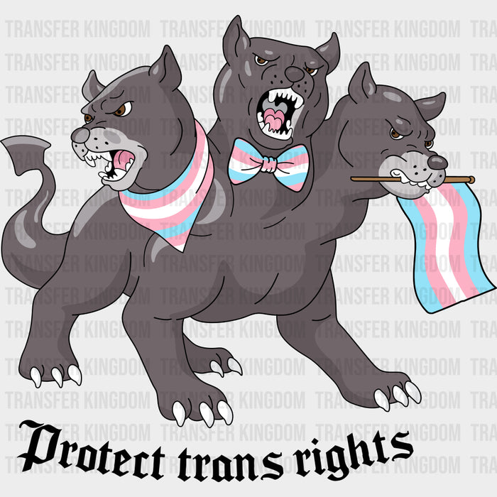Protect Trans Rights - Transgender DTF Transfers