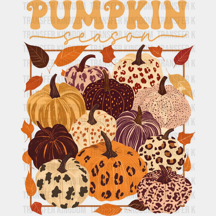 Pumpkin Season Colorful Pumpkins - Fall DTF Transfer
