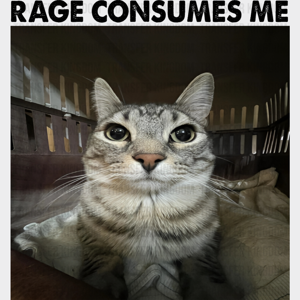 Rage Consumes Me Cat - Funny DTF Transfer Adult Unisex - S & M (10’’) / Dark Color Design (See Imaging)