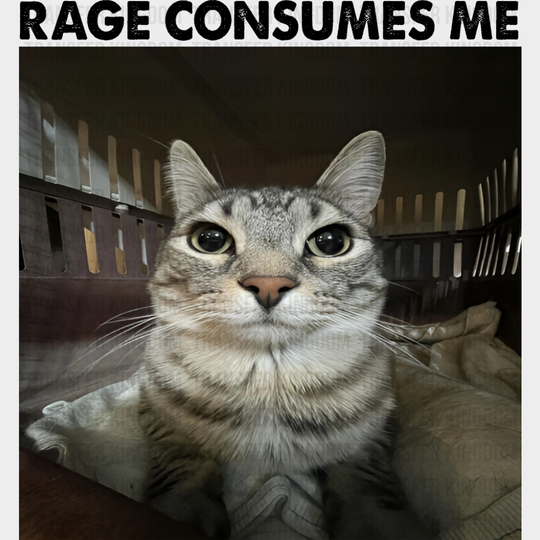 Rage Consumes Me Cat - Funny DTF Transfer Adult Unisex - S & M (10’’) / Dark Color Design (See Imaging)