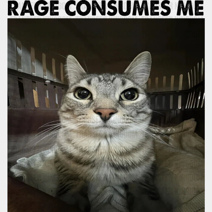Rage Consumes Me Cat - Funny DTF Transfer
