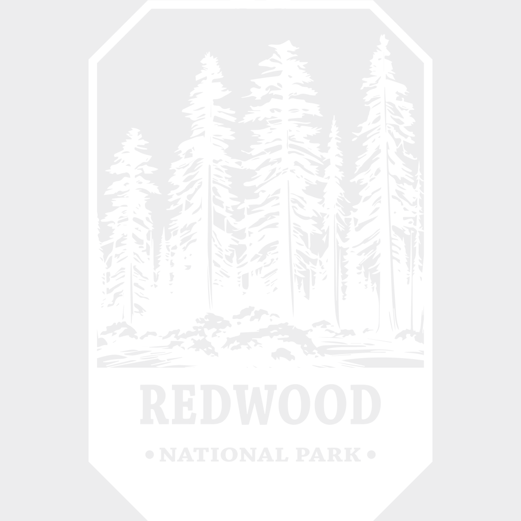 Redwood National Park Design - Parks Dtf Transfers Unisex S & M (10’) / Light Color See Imaging