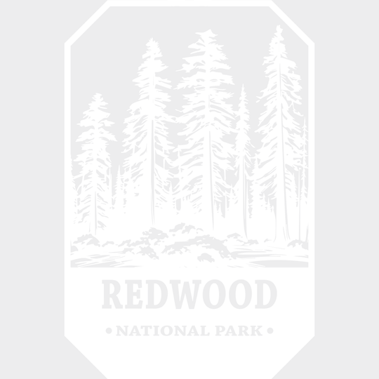 Redwood National Park Design - Parks Dtf Transfers Unisex S & M (10’) / Light Color See Imaging