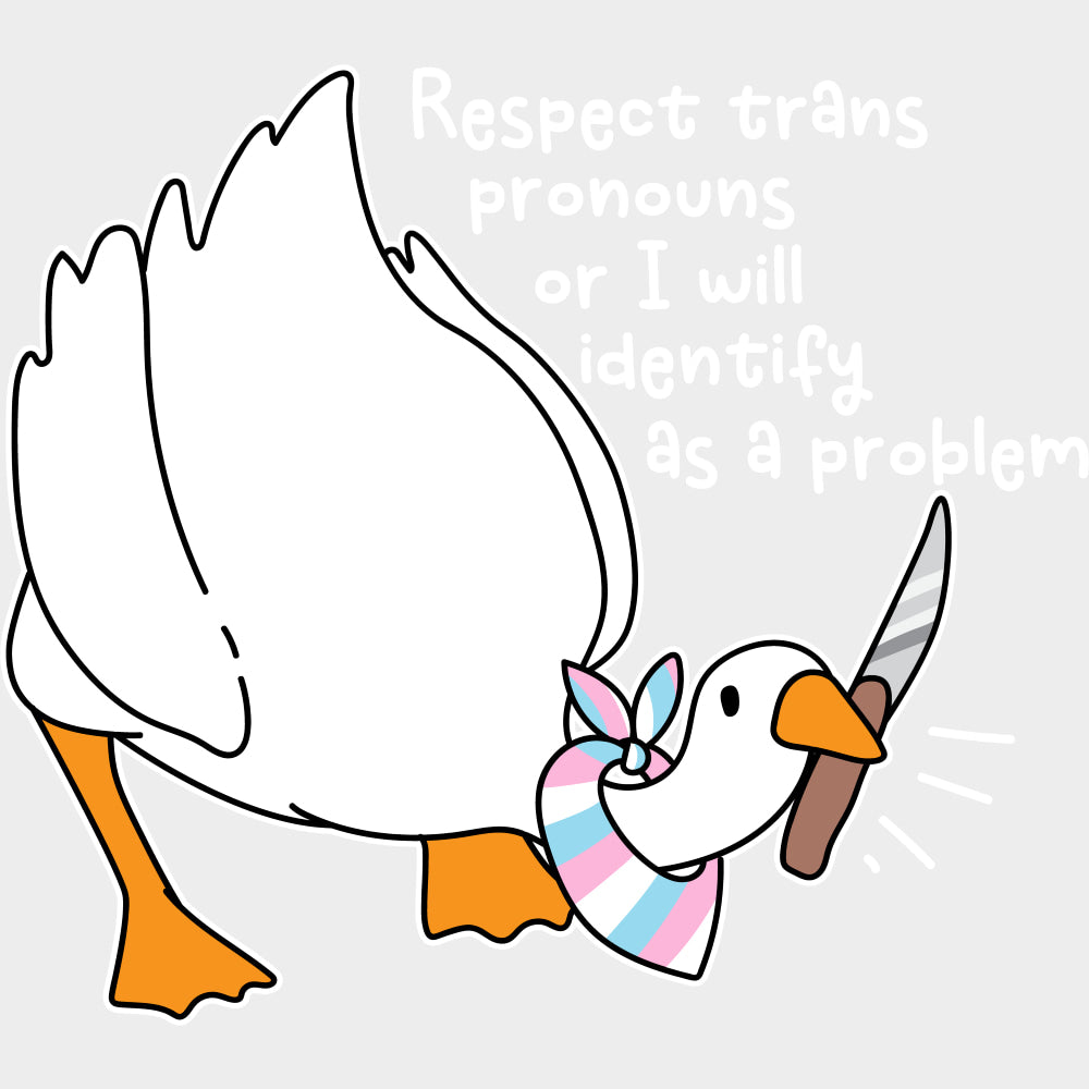 Respect Trans Pronouns Or I Will Identify As A Problem - Transgender DTF Transfers transfer-kingdom Light Color Design (See Imaging)