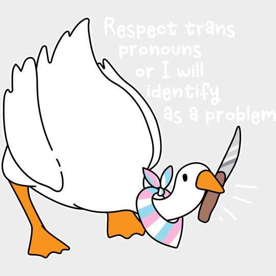 Respect Trans Pronouns Or I Will Identify As A Problem - Transgender DTF Transfers transfer-kingdom Light Color Design (See Imaging)