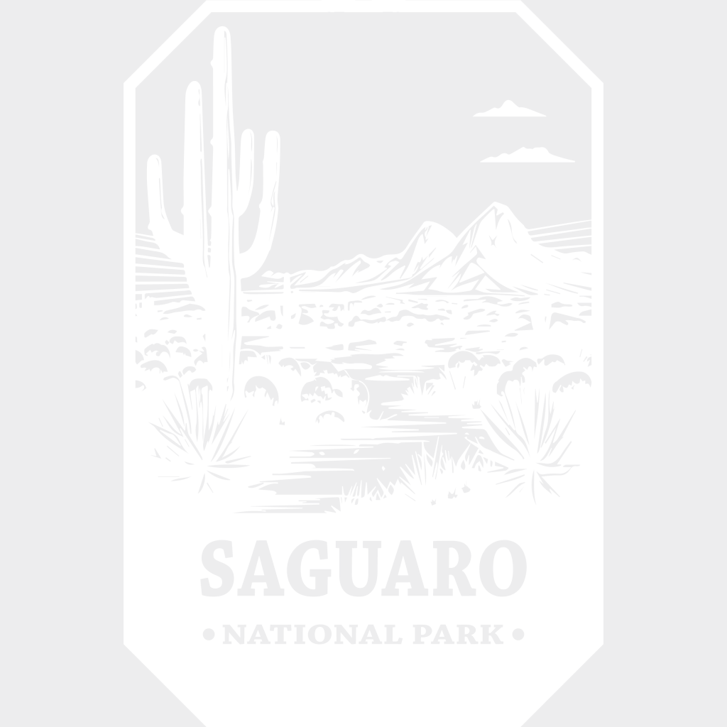 Saguaro National Park Design - Parks Dtf Transfers Unisex S & M (10’) / Light Color See Imaging