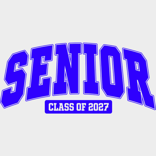 Senior Class Of 2027 Four Colors - Senior DTF Transfers - Adult Unisex - S & M (10’’) / Blue Color Design (See Imaging)