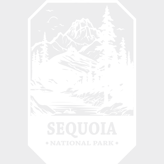 Sequoia National Park Design - Parks Dtf Transfers Unisex S & M (10’) / Light Color See Imaging