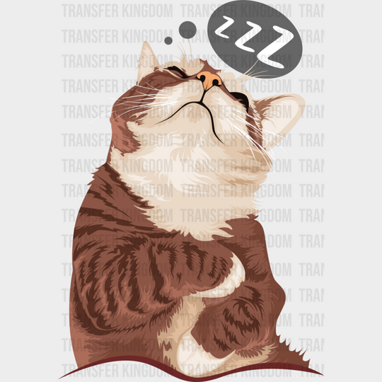 Sleeping Cat - Cats DTF Transfer