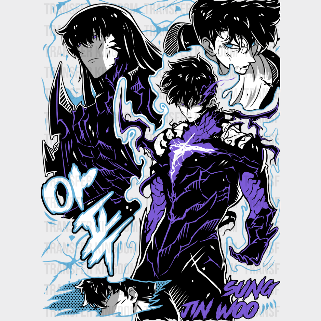 Solo Leveling Sung Jin-woo Design - Anime DTF Transfer