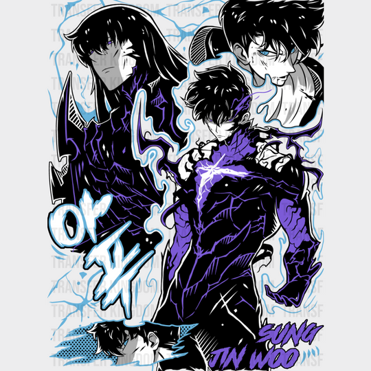 Solo Leveling Sung Jin-woo Design - Anime DTF Transfer