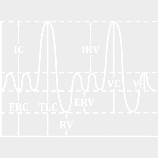 Spirometry B&W - CRNA Nurse DTF Transfers Adult Unisex - S & M (10’’) / Light Color Design (See Imaging)