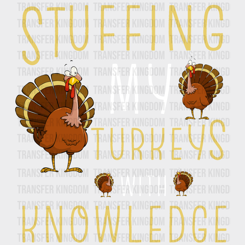 Stuffing My Turkeys With Knowledge - Thanksgiving Dtf Transfer Unisex S & M (10’’) / Light