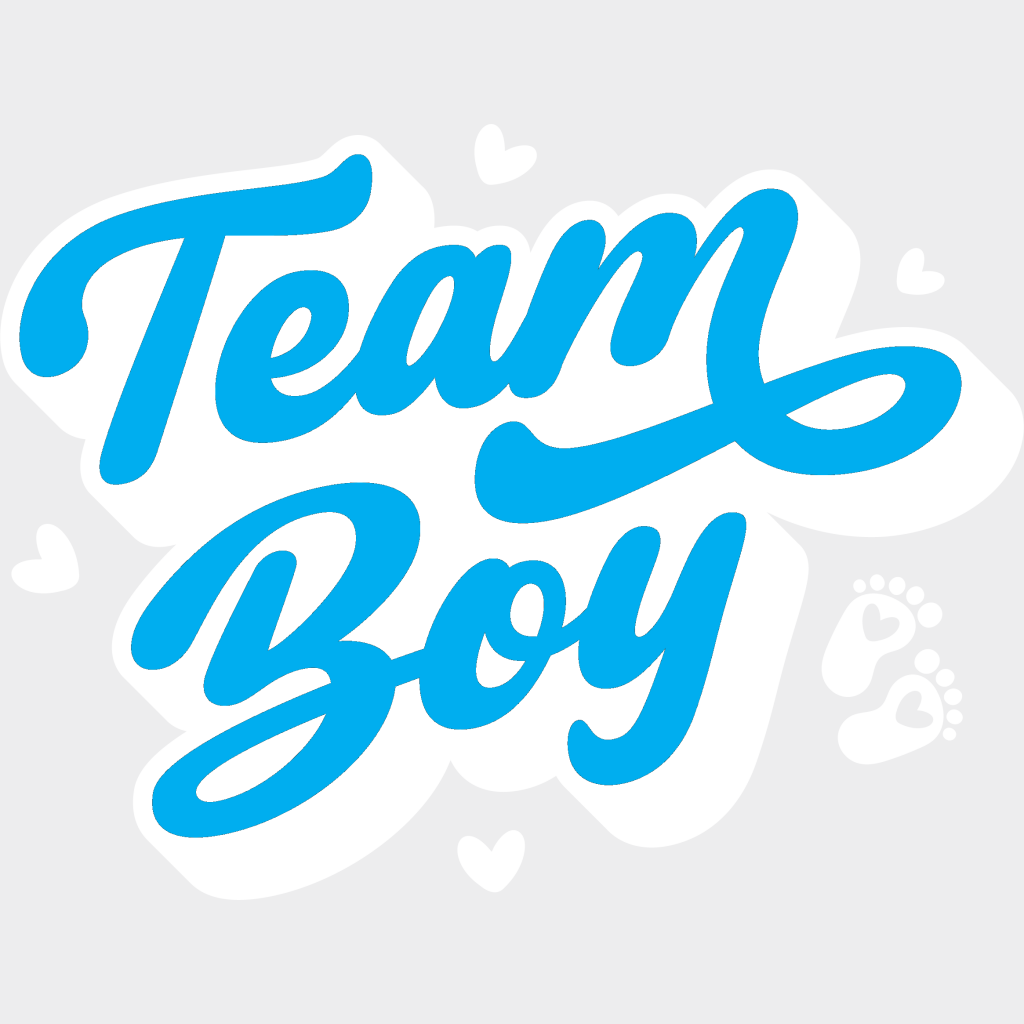 Team Boy Blue Design - Gender Reveal Dtf Transfer Unisex S & M (10’’) / Light Color See Imaging