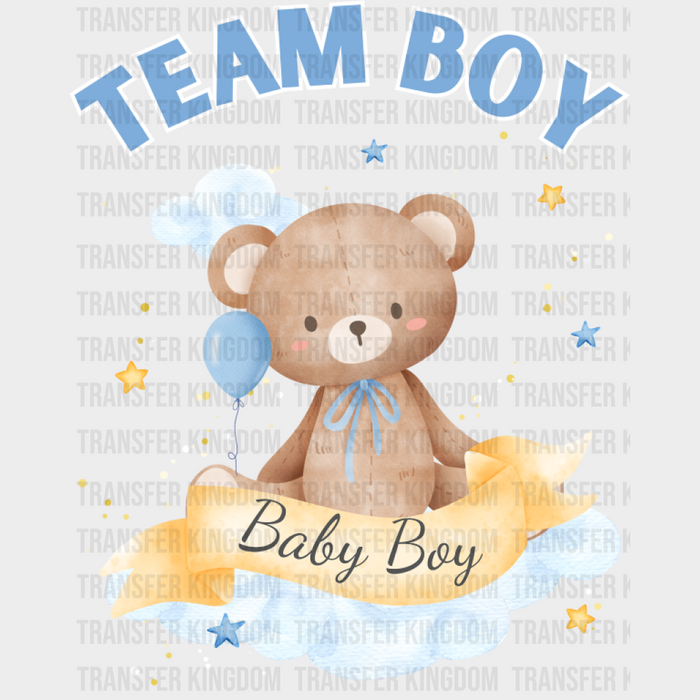 Team Boy & Girl Teddy Bear - Gender Reveal DTF Transfer