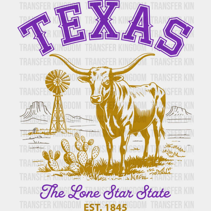 Texas The Lone Star State - States & Cities DTF Transfer