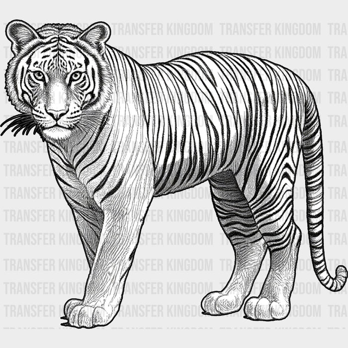 Tiger B&W - Animals DTF Transfers