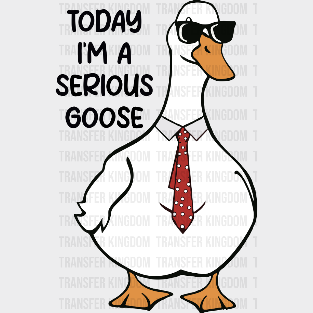 Today I’m A Serious Goose - Funny DTF Transfer Adult Unisex - S & M (10’’) / Dark Color Design (See Imaging)