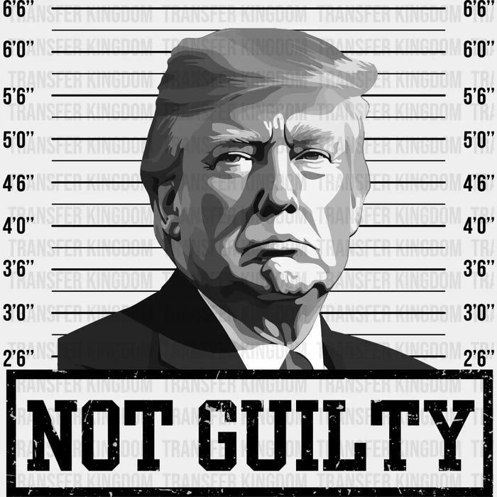 Trump Not Guilty Election DTF Transfer