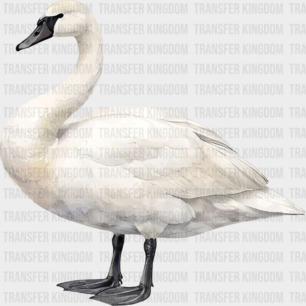Trumpeter Swan - Animals DTF Transfers