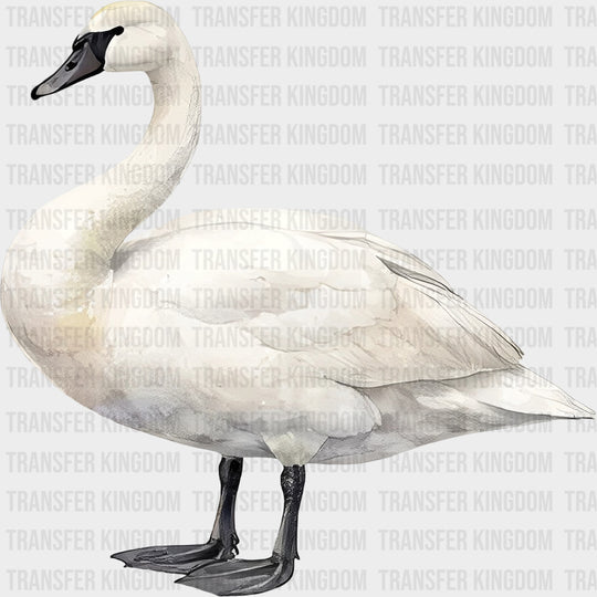 Trumpeter Swan - Animals DTF Transfers