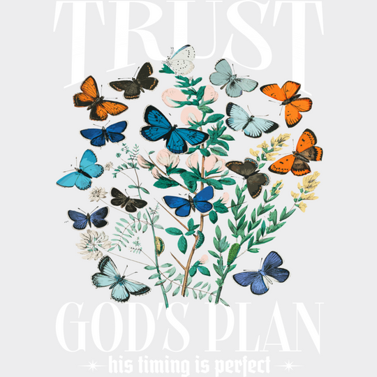 Trust God’s Plan His Timing Is Perfect - Christianity DTF Transfer Adult Unisex - S & M (10’’) / Light Color Design