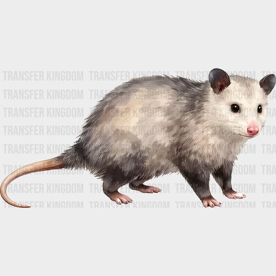 Virginia Opossum - Animals DTF Transfers