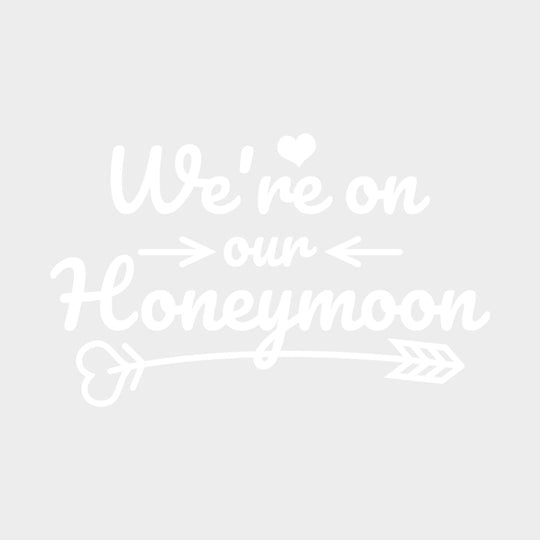 We’re On Our Honeymoon - Honeymoon DTF Transfers Adult Unisex - S & M (10’’) / Light Color Design (See Imaging)