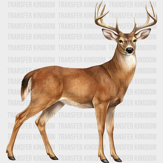 White Tailed Deer - Animals DTF Transfers