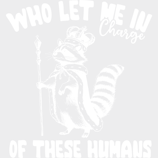 Who Let Me In Charge - Funny Dtf Transfer Unisex S & M (10’’) / Light Color Design See Imaging