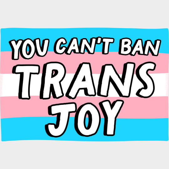 You Can't Ban Trans Joy - Transgender DTF Transfers transfer-kingdom Light Color Design (See Imaging)