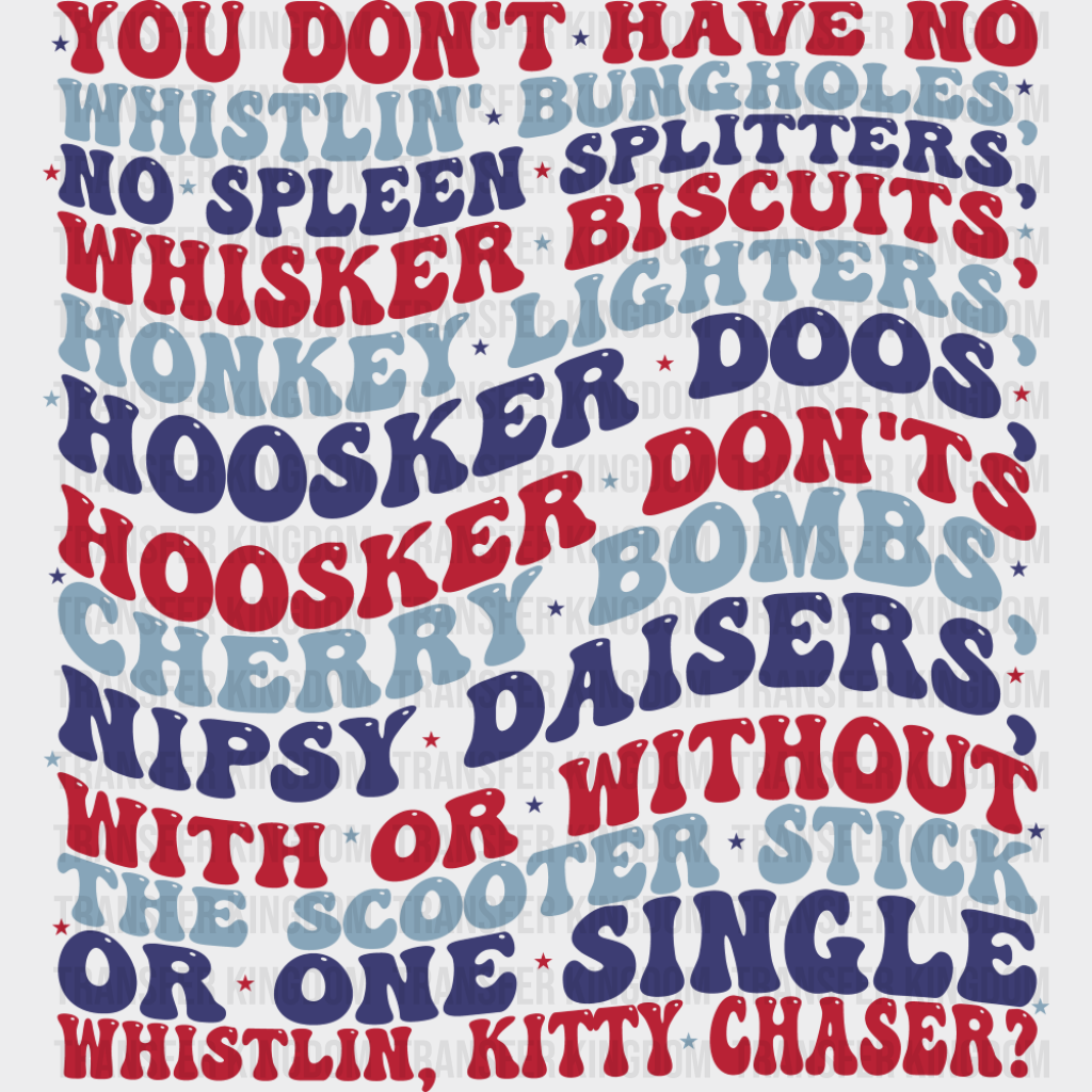You Don’t Have No Whistlin’ Bungholes - 4th Of July DTF Transfer