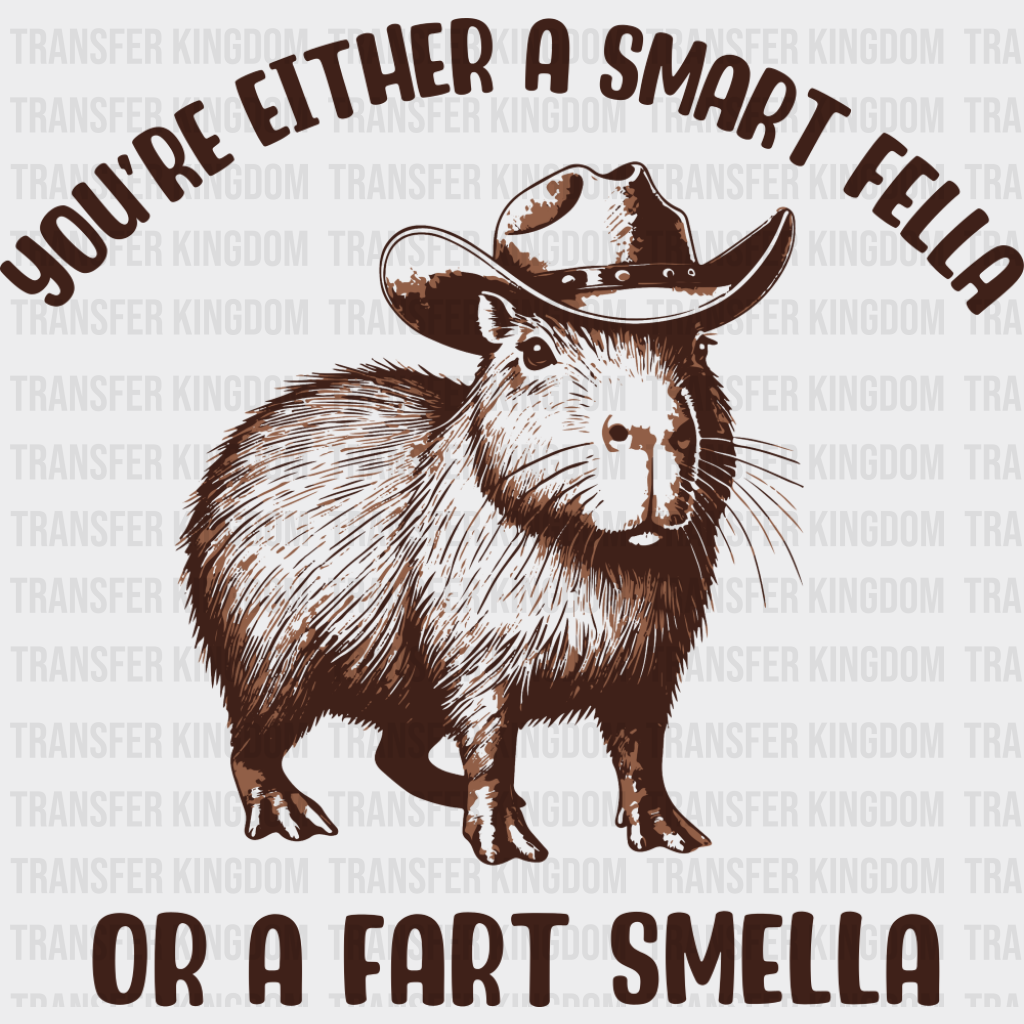 You’re Either A Smart Fella Or A Fart Smella - Funny DTF Transfer Adult Unisex - S & M (10’’) / Dark Color Design (See