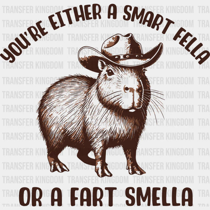 You're Either A Smart Fella Or A Fart Smella - Funny DTF Transfer