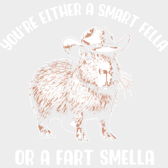 You’re Either A Smart Fella Or A Fart Smella - Funny DTF Transfer Adult Unisex - S & M (10’’) / Light Color Design (See
