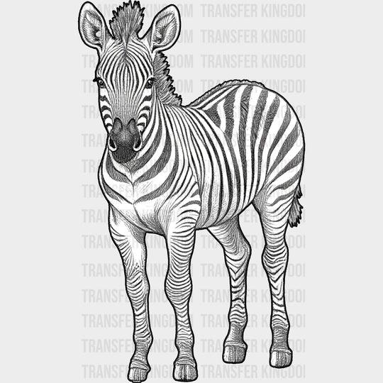 Zebra B&W - Animals DTF Transfers - Adult Unisex - S & M (10’’) / Dark Color Design (See Imaging)